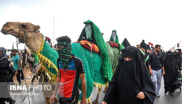 عکس پیاده روی کربلا