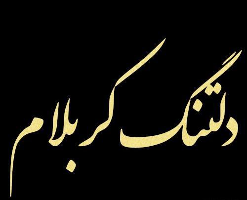 عکس زیبا برای پروفایل کربلا