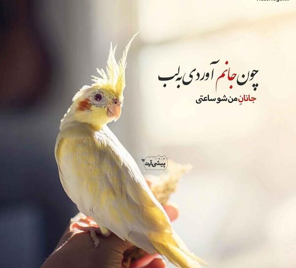 عکس نوشته باحال فانتزی