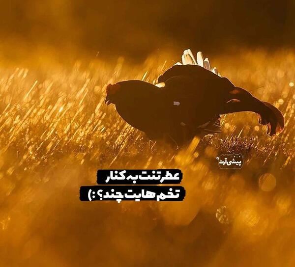 عکس نوشته باحال فانتزی