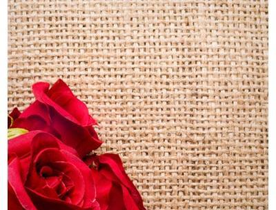 عکس گل رز برای نوشتن متن