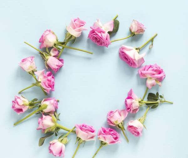 عکس گل رز برای نوشتن متن