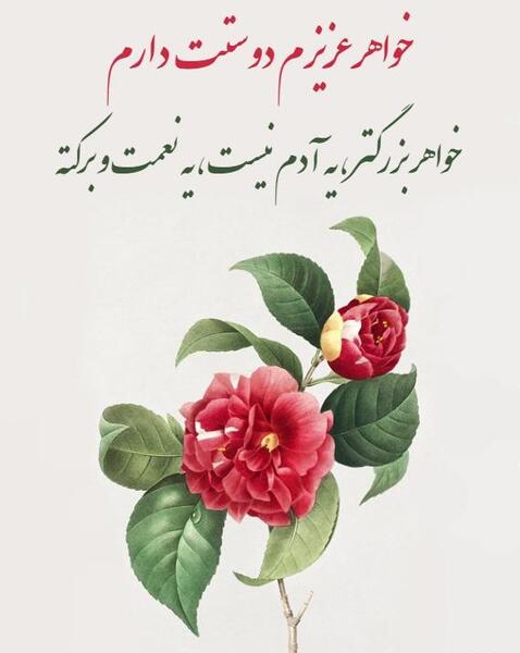 عکس نوشته خواهر عزیزم دوستت دارم
