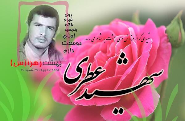 عکس بیتا بادران قبل از عمل