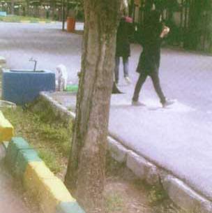 عکس بیتا بادران قبل از عمل
