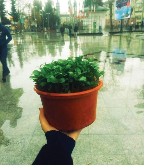 عکس مبینا یوسفی