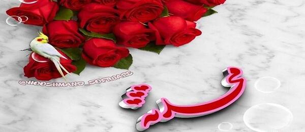 کلیپ عکس نوشته محدثه
