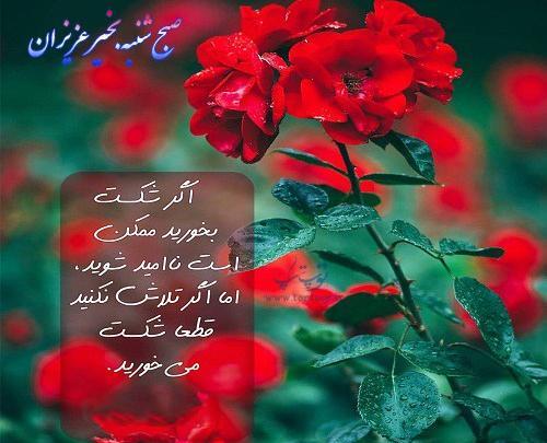 عکس نوشته صلوات صبح بخیر