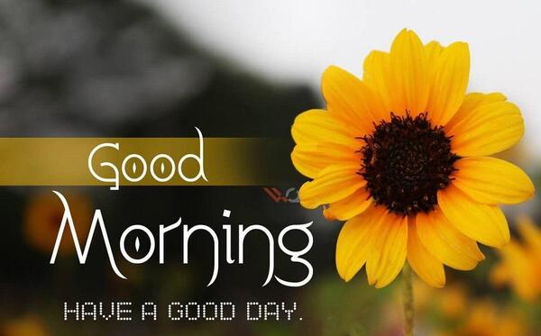 عکس نوشته صلوات صبح بخیر