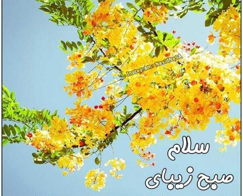 عکس نوشته صلوات صبح بخیر