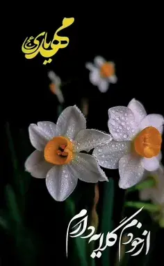 عکس نوشته عجل علی ظهورک