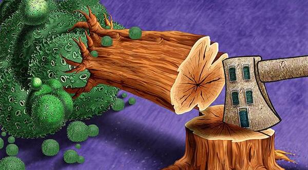 عکس دنیای با کرونا و بی کرونا