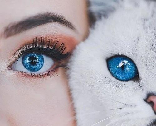 عکس پروفایل های لاکچری