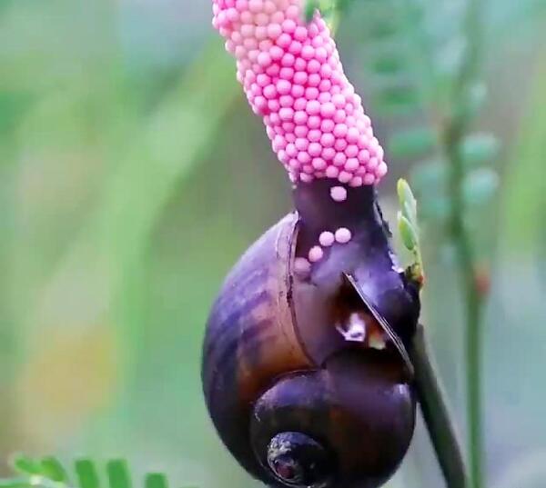 عکس چرخش کره ی زمین