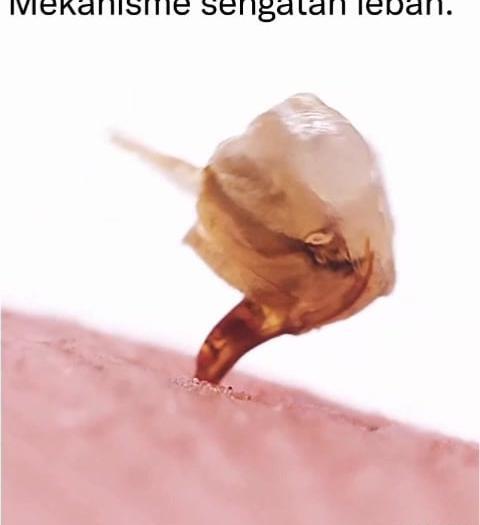 عکس چرخش کره ی زمین