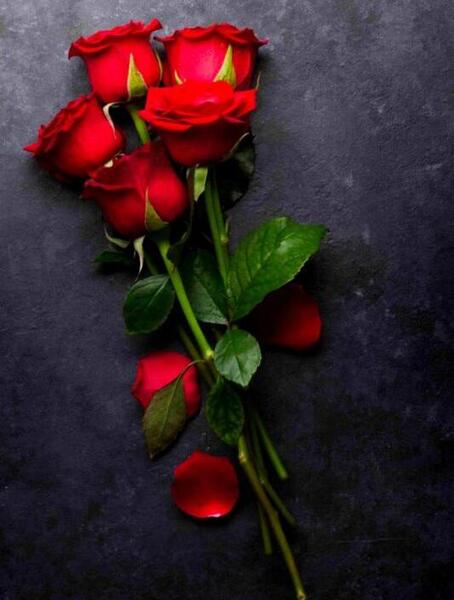 عکس نوشته پروفایل گل نرگس