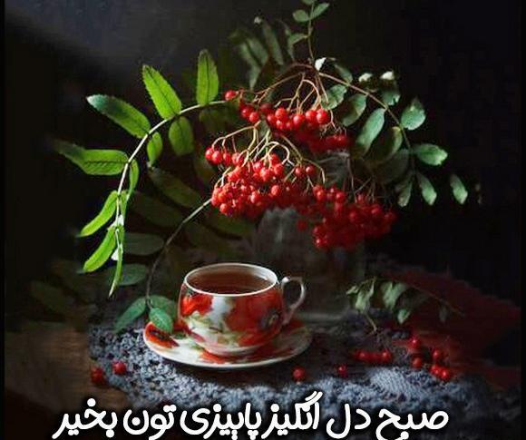 عکسهای صبح بخیر پاییزی