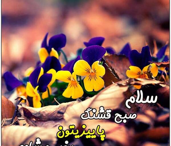 عکسهای صبح بخیر پاییزی