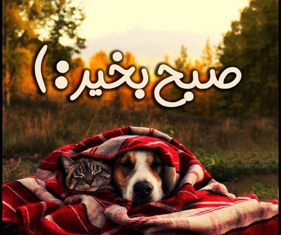 عکسهای صبح بخیر پاییزی