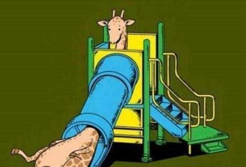 عکس خنده دار طلاق