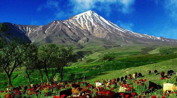عکس بارش شهابی بر فراز قله دماوند