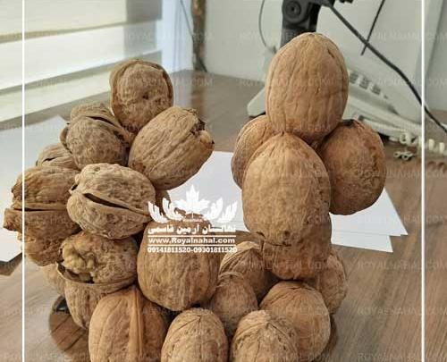عکس بافت خاک