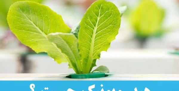 عکس بافت خاک