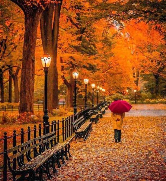 عکس منظره زیبای عاشقانه