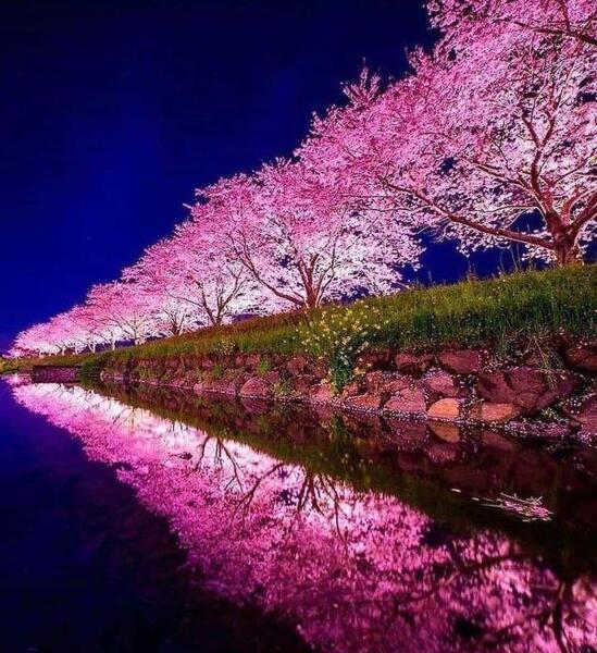 عکس منظره زیبای عاشقانه
