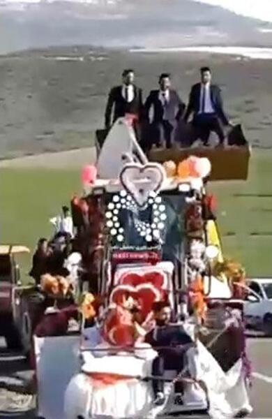 عکس نقاشی گل عروسی