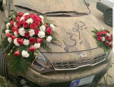عکس نقاشی گل عروسی
