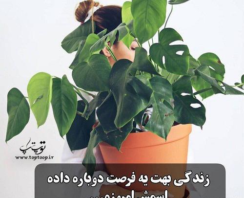 عکس نوشته در مورد فرصت