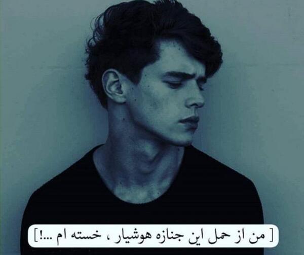 عکس شایان هوشیار