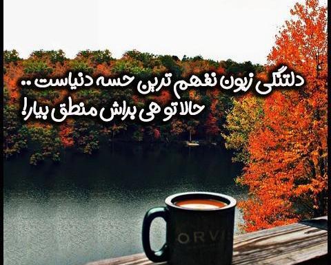 عکس نوشته دلتنگی زبون نفهم