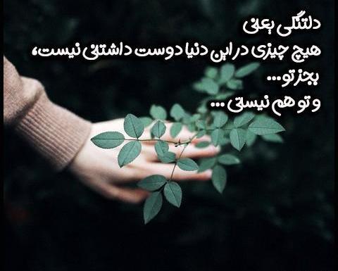 عکس نوشته دلتنگی زبون نفهم