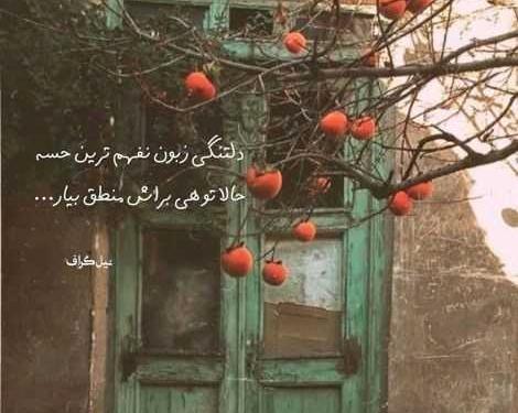 عکس نوشته دلتنگی زبون نفهم
