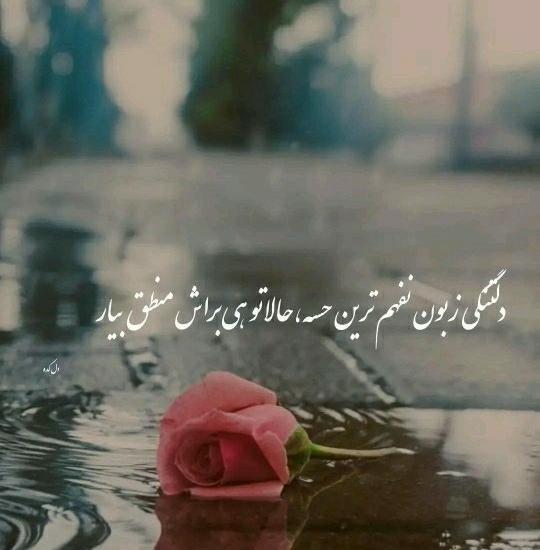 عکس نوشته دلتنگی زبون نفهم