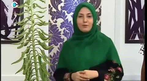 عکس گل اشک عروس