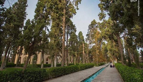 عکس هوایی باغ فین کاشان