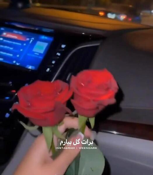 عکس استوری گل