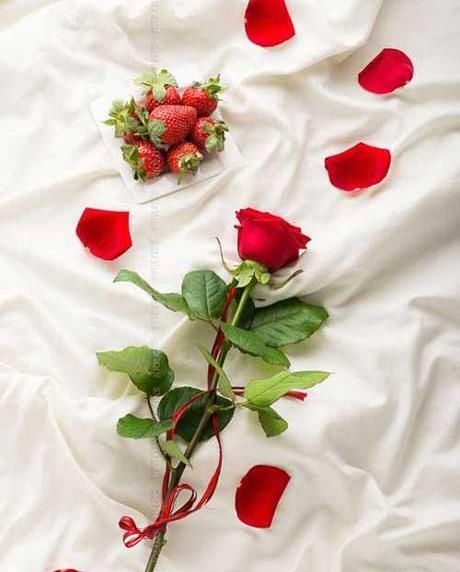 عکس استوری گل