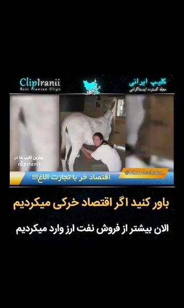 عکس کفش غول