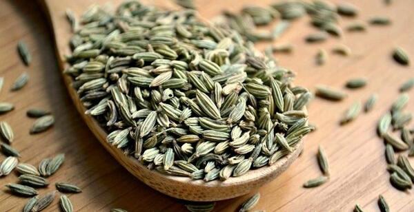 عکس رازیانه گیاهی