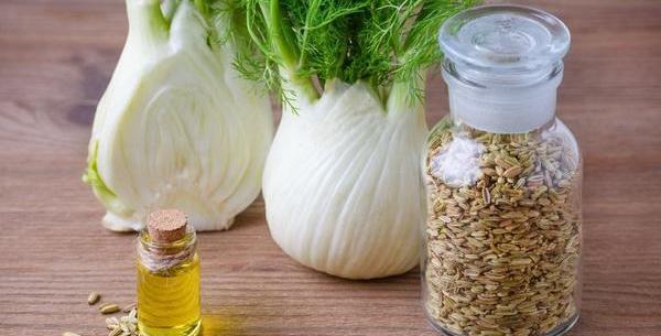 عکس رازیانه گیاهی