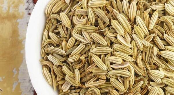 عکس رازیانه گیاهی
