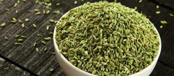 عکس رازیانه گیاهی