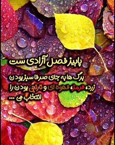 عکس استوری پاییزی راغب
