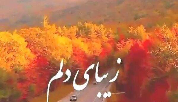 عکس استوری پاییزی راغب