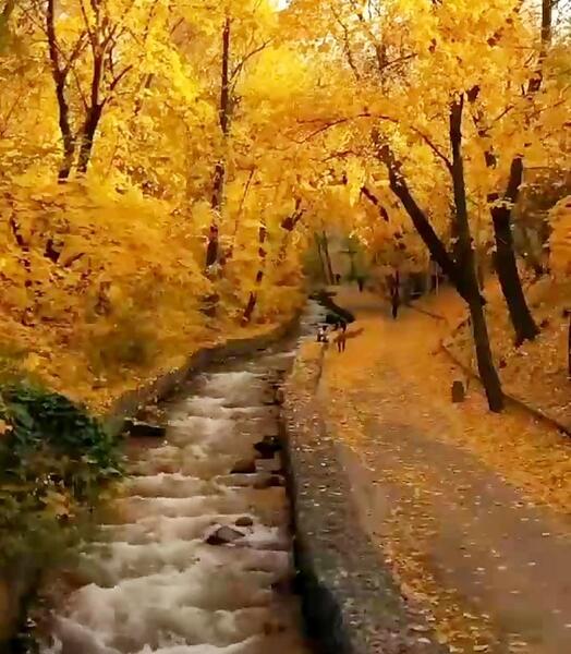عکس استوری پاییزی راغب