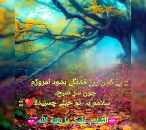 عکس استوری پاییزی راغب